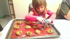 Pumpkin Cookies