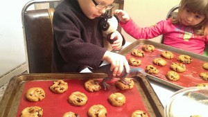 Pumpkin Cookies