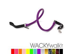 walkr-300x225