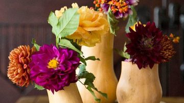 gourds-and-flowers