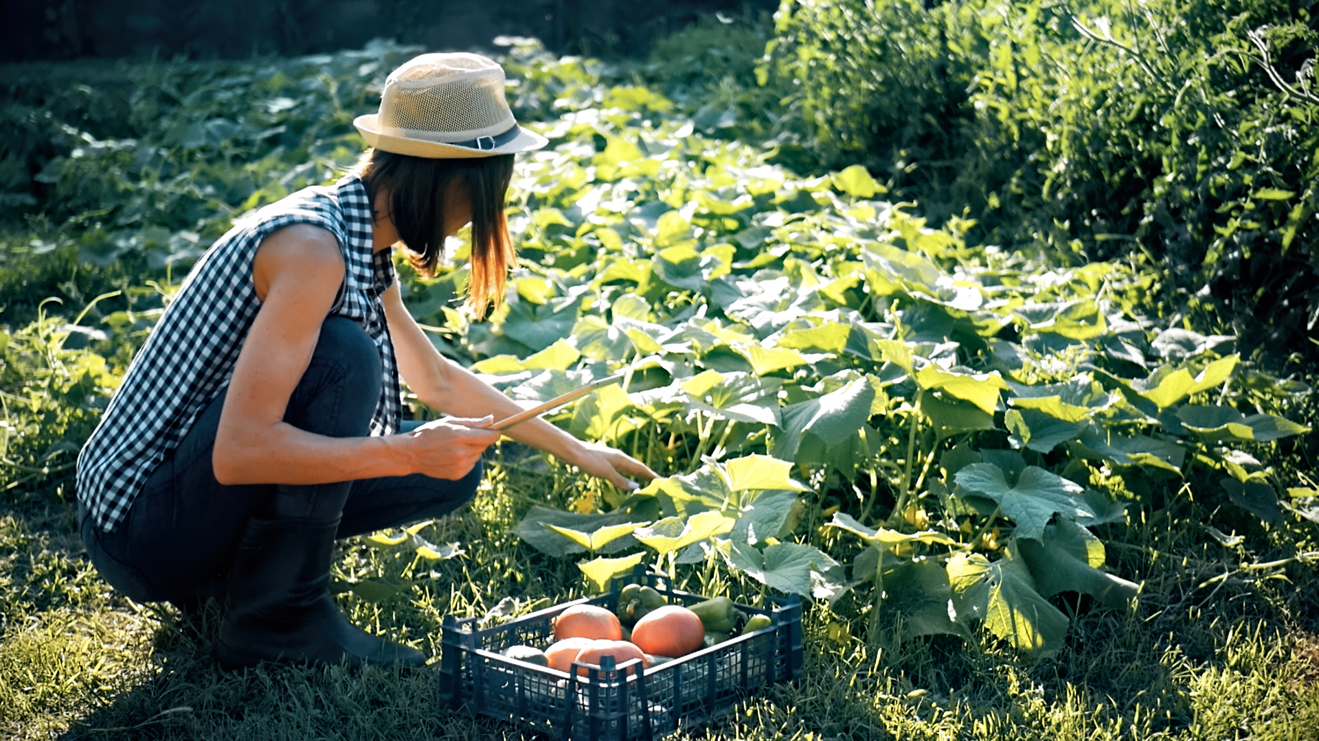 Farm Girl Bikini