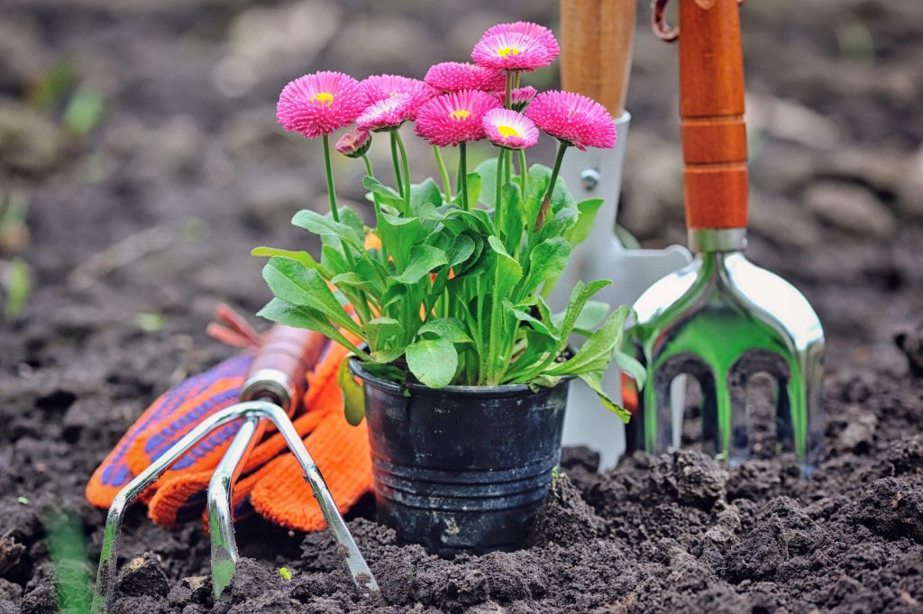 Gardening with Mom