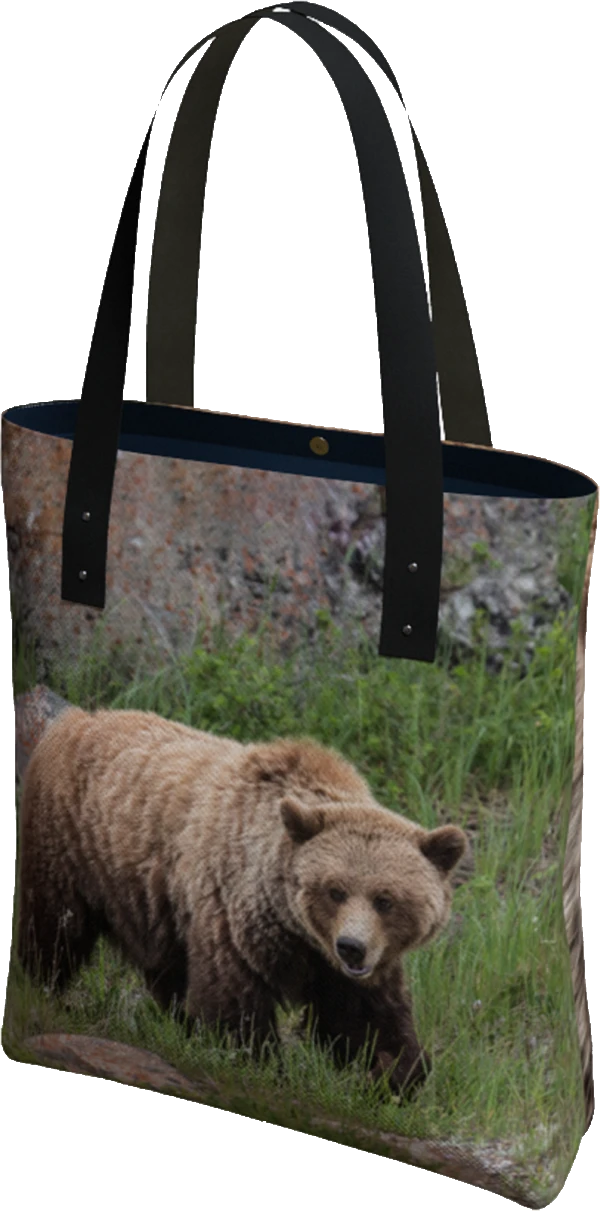 bears-bag-Copy - Marc and Mandy Show