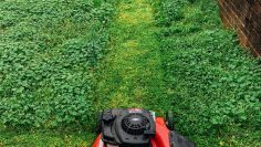 mowing