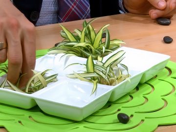M&M_S28E05_Gardening Tips