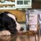 M&M_S30E07_Betty Shepard_Trendsetter_Kookeez Dog Treats