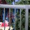 We Love: Easy-to-install Aluminum Railings for Your Deck
