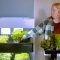 How To Start An Indoor Hydroponic Garden