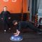 Orangetheory Fitness Tips: Bosu Ball Side to Side Push-Up