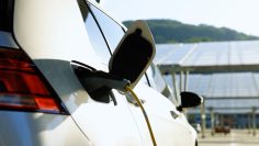 M&M_S39E03_Get Wired Electric