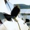 What’s Trending: At Home Electric Car Charger
