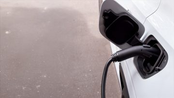 M&M_S41E04_Gleb Niciforou_Grizzl-E Club