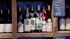 M&M_S41E12_Peter & Agnes Dim_Dim Wines Vineyard Tour