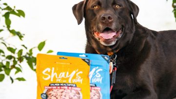 M&M_S40E04_Shay’s Way