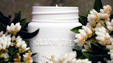 M&M_S42E02_Hollow Tree