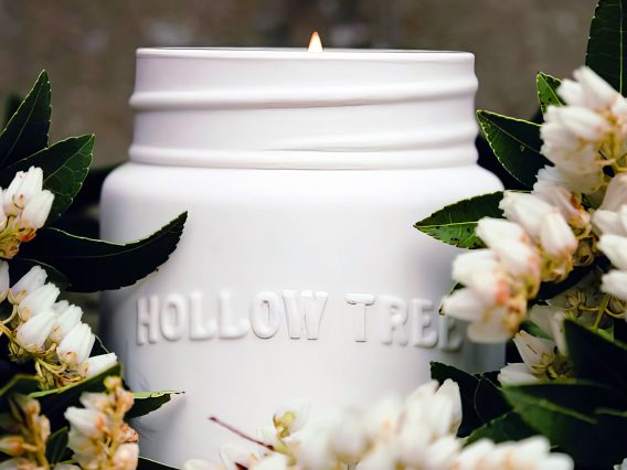 M&M_S42E02_Hollow Tree