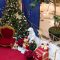 Holiday Shopping at Yorgate Mall