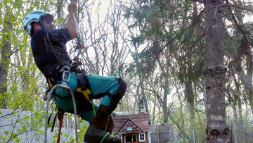 M&M_S44E02_Paul Kruse_Tree Pruning Tips