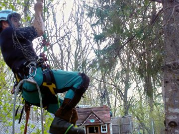 M&M_S44E02_Paul Kruse_Tree Pruning Tips