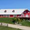 The Dream Alberta Wedding Venue You Need to See